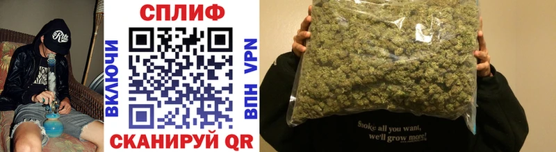 Каннабис Amnesia  Купить где  Новороссийск 